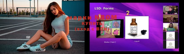 шишки Бородино