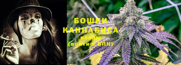 шишки Бородино