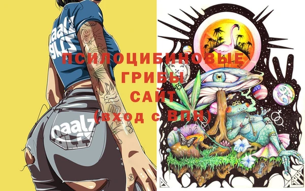 герыч Бугульма