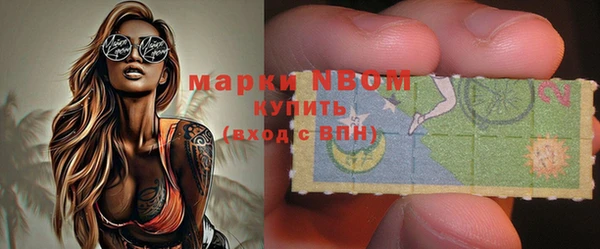 шишки Бородино